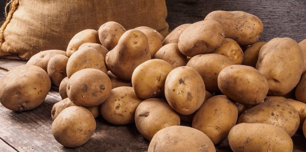 Користь картоплі для людського організму